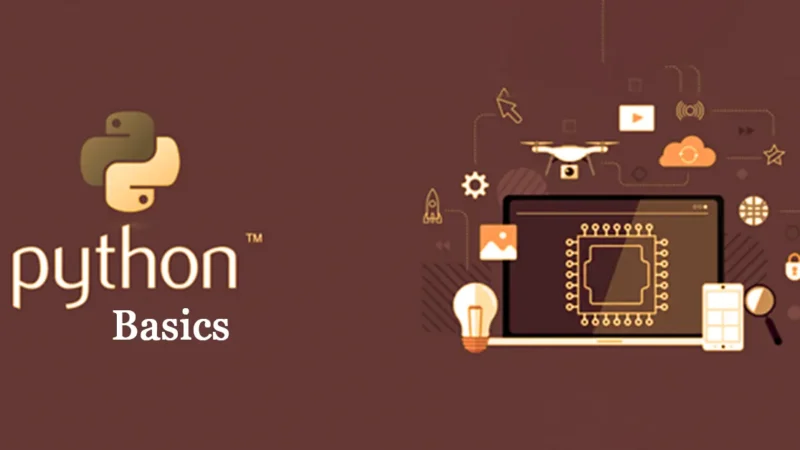 Python Basics: A Fun and Practical Guide to Start Coding Like a Pro